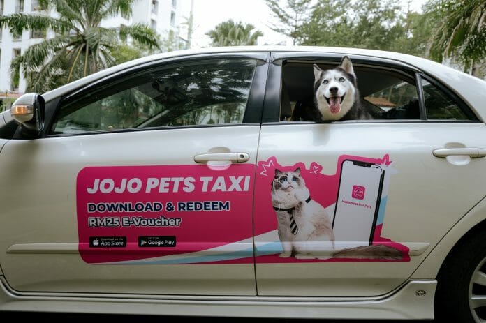 Pet Taxi in Malaysia