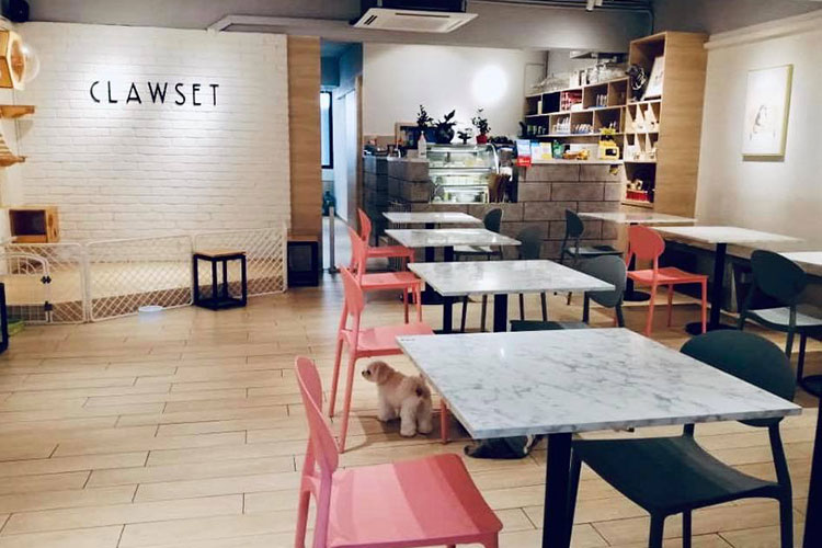 Clawset Pet Café