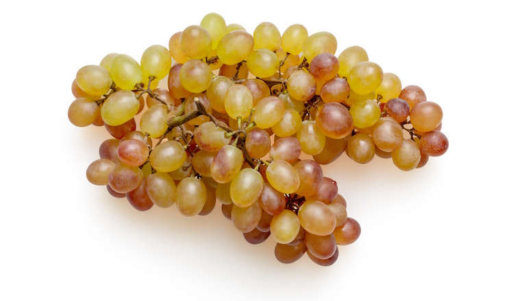 Is Grapes and Grape Products safe for Pets 