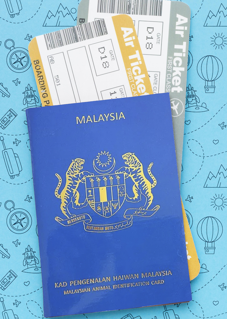 How to get a Malaysia’s Pet Passport