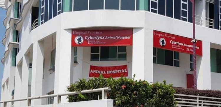 Cyberlynx Animal Clinic