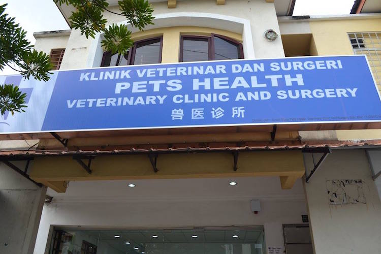 Pets Health Veterinary Clinic & Surgery