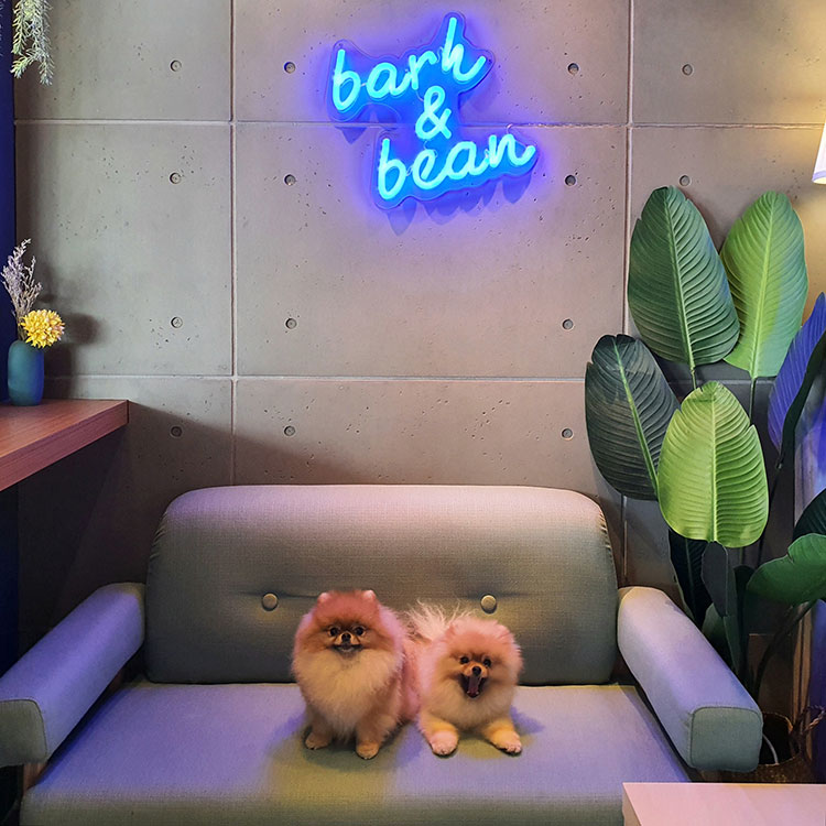 Bark & Bean - Pet-Friendly Cafe Penang