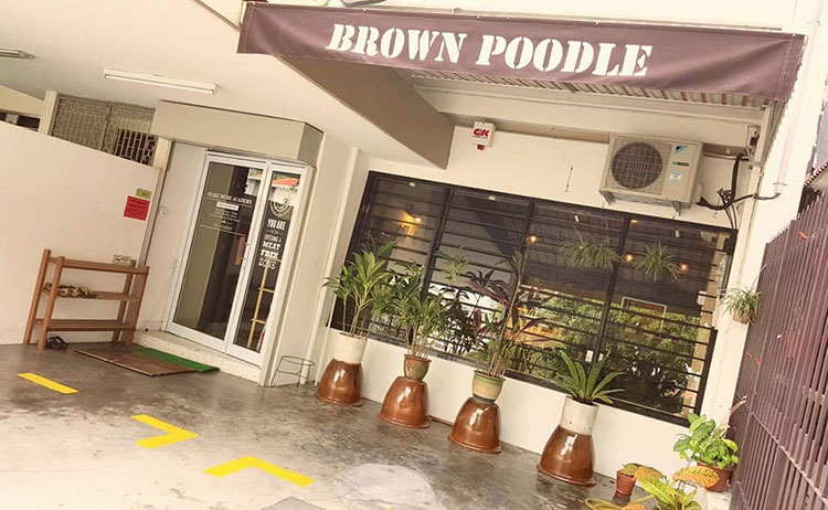 Brown Poodle - Pet-Friendly Cafe Penang