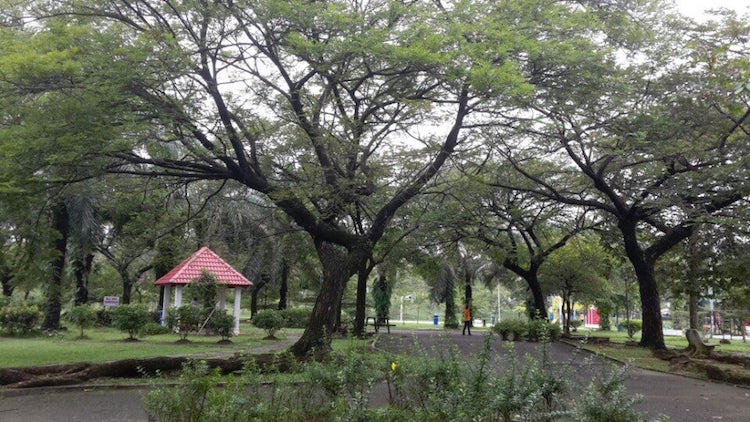 Taman Wawasan Recreational Park, Puchong