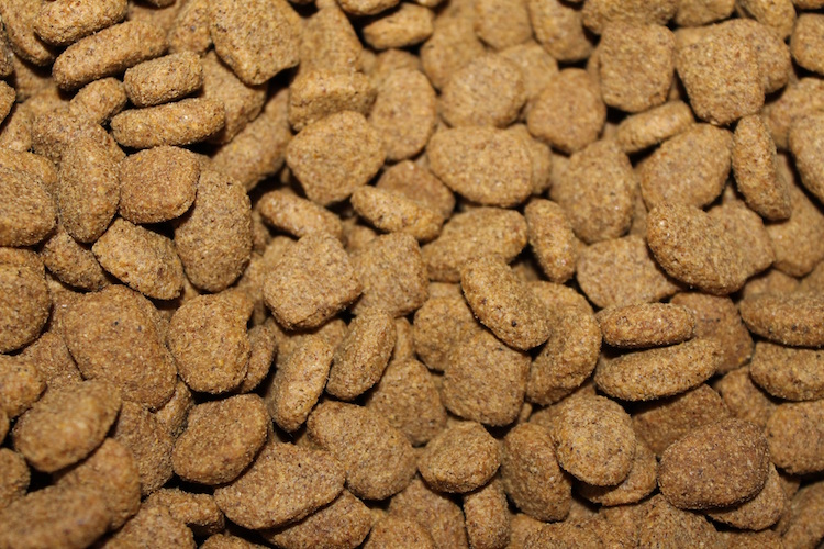 How Is Dry Food For Pets Processed